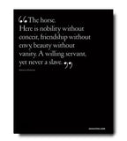The Allure of Horses
